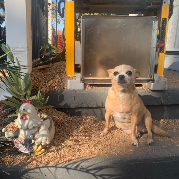 Get To Know Me... 💕 - Picture 2 of 2